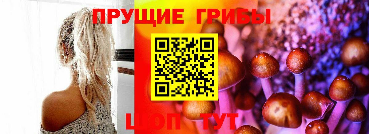 Псилоцибиновые грибы прущие грибы  Вход с VPN  Чапаевск 